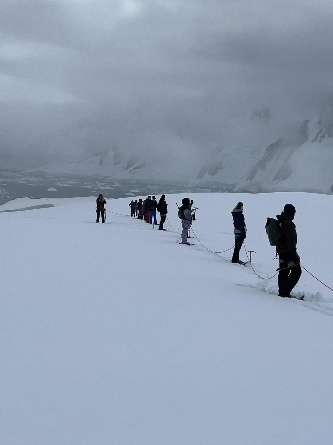 PLA25-26, Day 8, IMG_3734.jpeg © Chris Forrest - Oceanwide Expeditions.jpeg