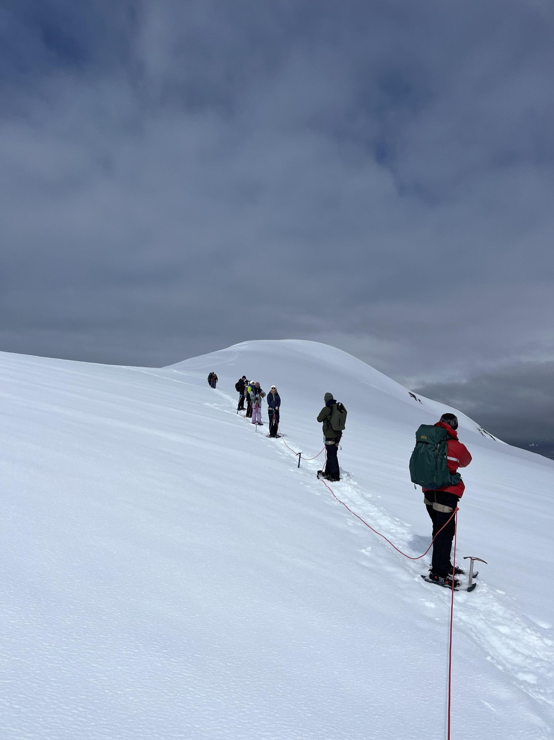 PLA25-26, Day 8, IMG_3741.jpeg © Chris Forrest - Oceanwide Expeditions.jpeg