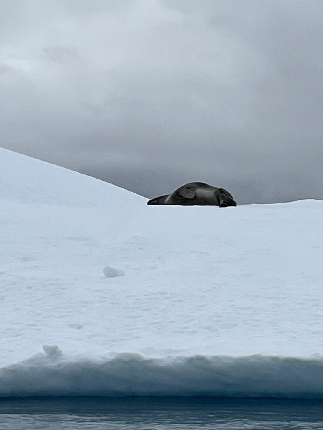 PLA25-26, Day 8, IMG_3754.jpeg © Chris Forrest - Oceanwide Expeditions.jpeg