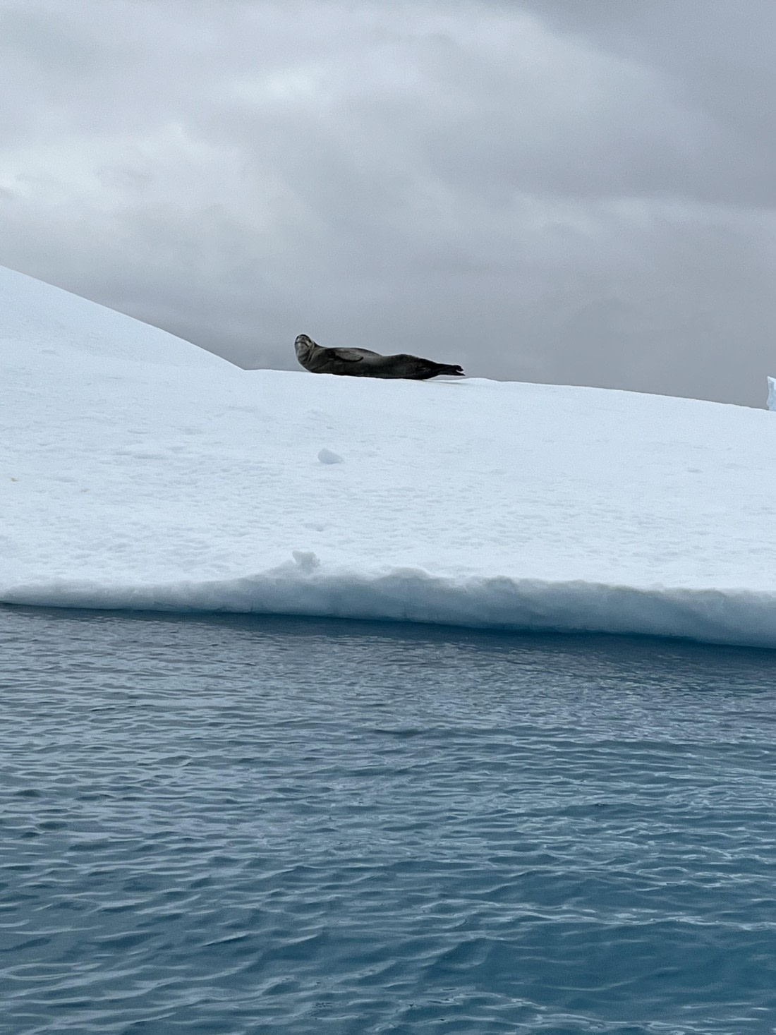 PLA25-26, Day 8, IMG_3755.jpeg © Chris Forrest - Oceanwide Expeditions.jpeg