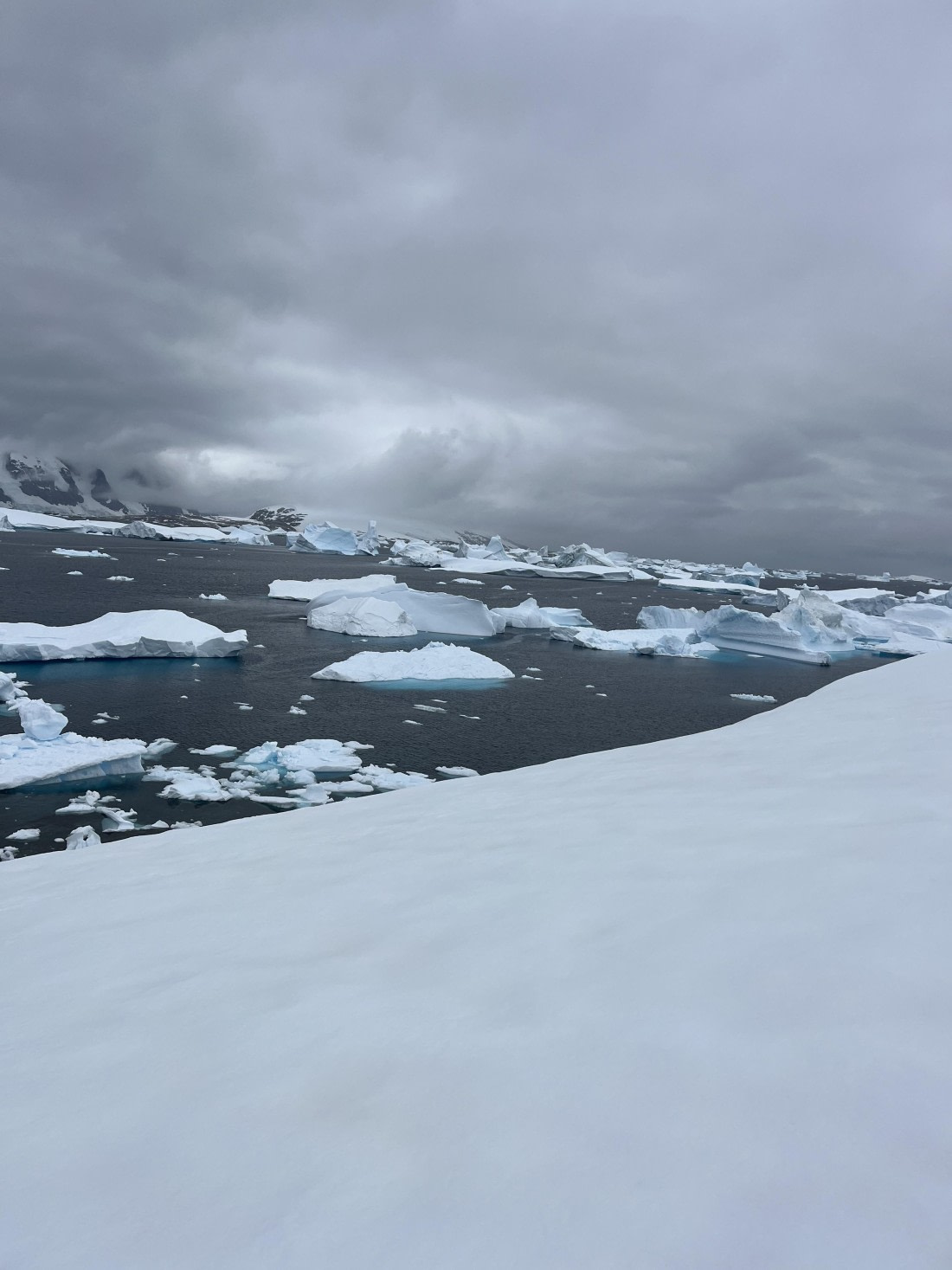 PLA25-26, Day 8, IMG_3758.jpeg © Chris Forrest - Oceanwide Expeditions.jpeg