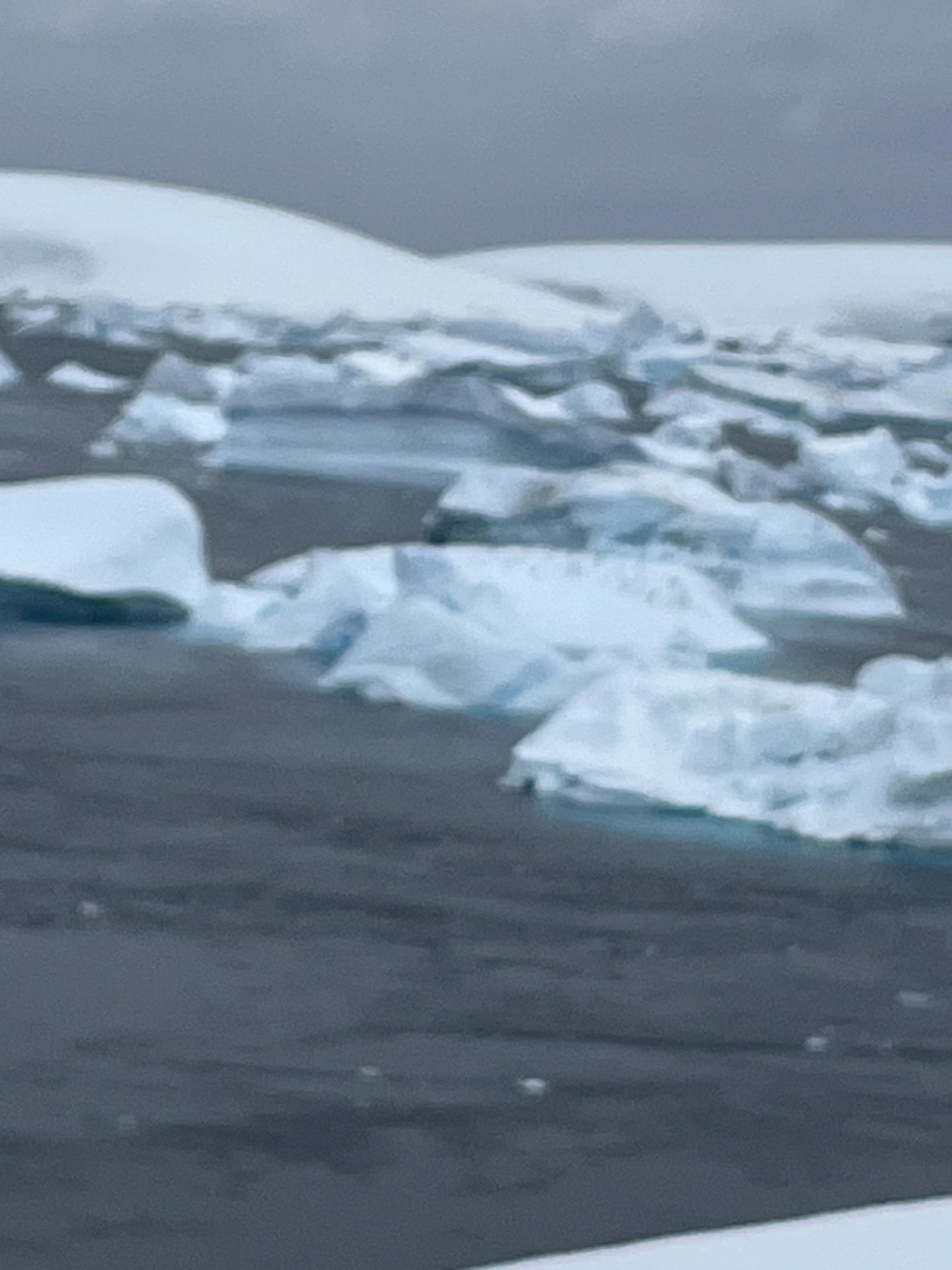 PLA25-26, Day 8, IMG_3759.jpeg © Chris Forrest - Oceanwide Expeditions.jpeg