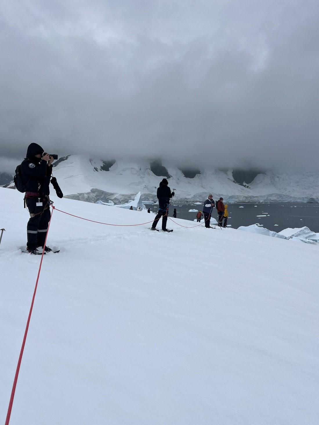 PLA25-26, Day 8, IMG_3762.jpeg © Chris Forrest - Oceanwide Expeditions.jpeg