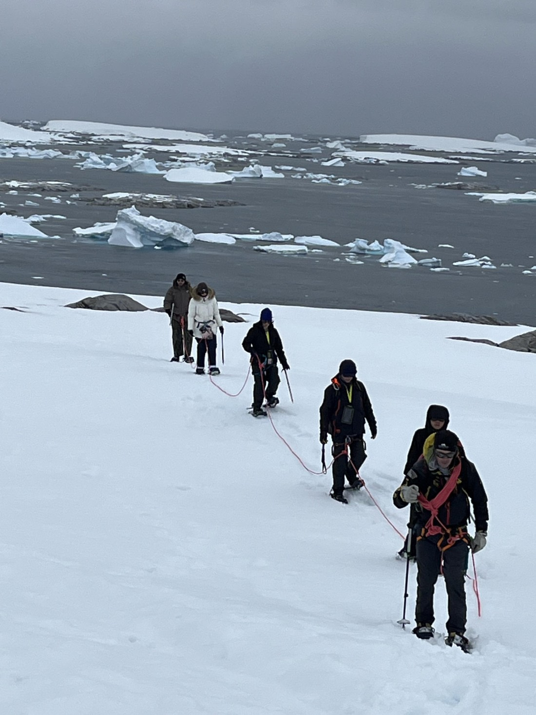 PLA25-26, Day 8, IMG_3765.jpeg © Chris Forrest - Oceanwide Expeditions.jpeg