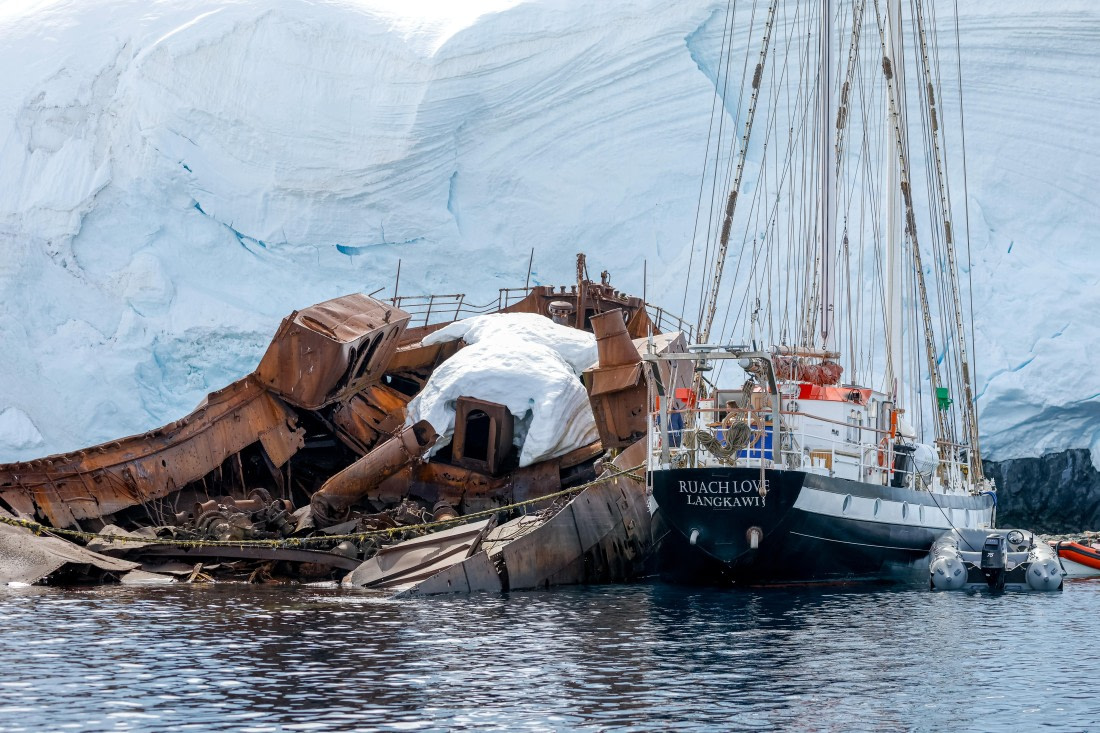 PLA25-26, Day 9, _6M33501.jpg © Juan Barenstein - Oceanwide Expeditions.jpg