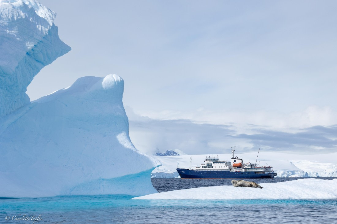 PLA25-26, Day 9, FZ1A5911.jpg © Katlyn Taylor- Oceanwide Expeditions.jpg