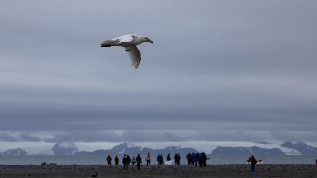 PLA25-26, Day 10, 4Q9A4929.jpg © Katlyn Taylor- Oceanwide Expeditions.jpg