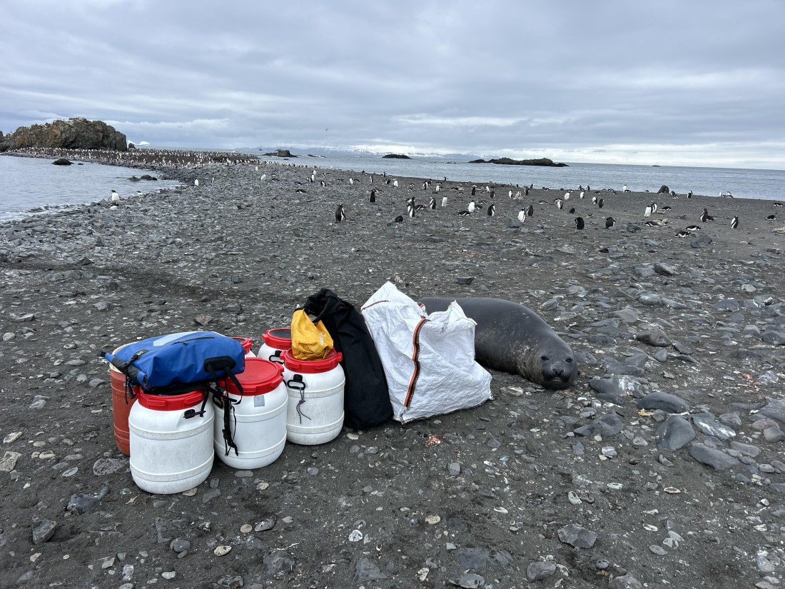 PLA25-26, Day 10, IMG_0421.jpeg © Katlyn Taylor- Oceanwide Expeditions.jpeg