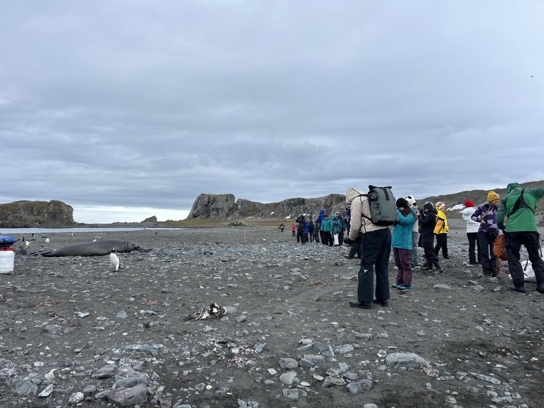 PLA25-26, Day 10, IMG_0423.jpeg © Katlyn Taylor- Oceanwide Expeditions.jpeg