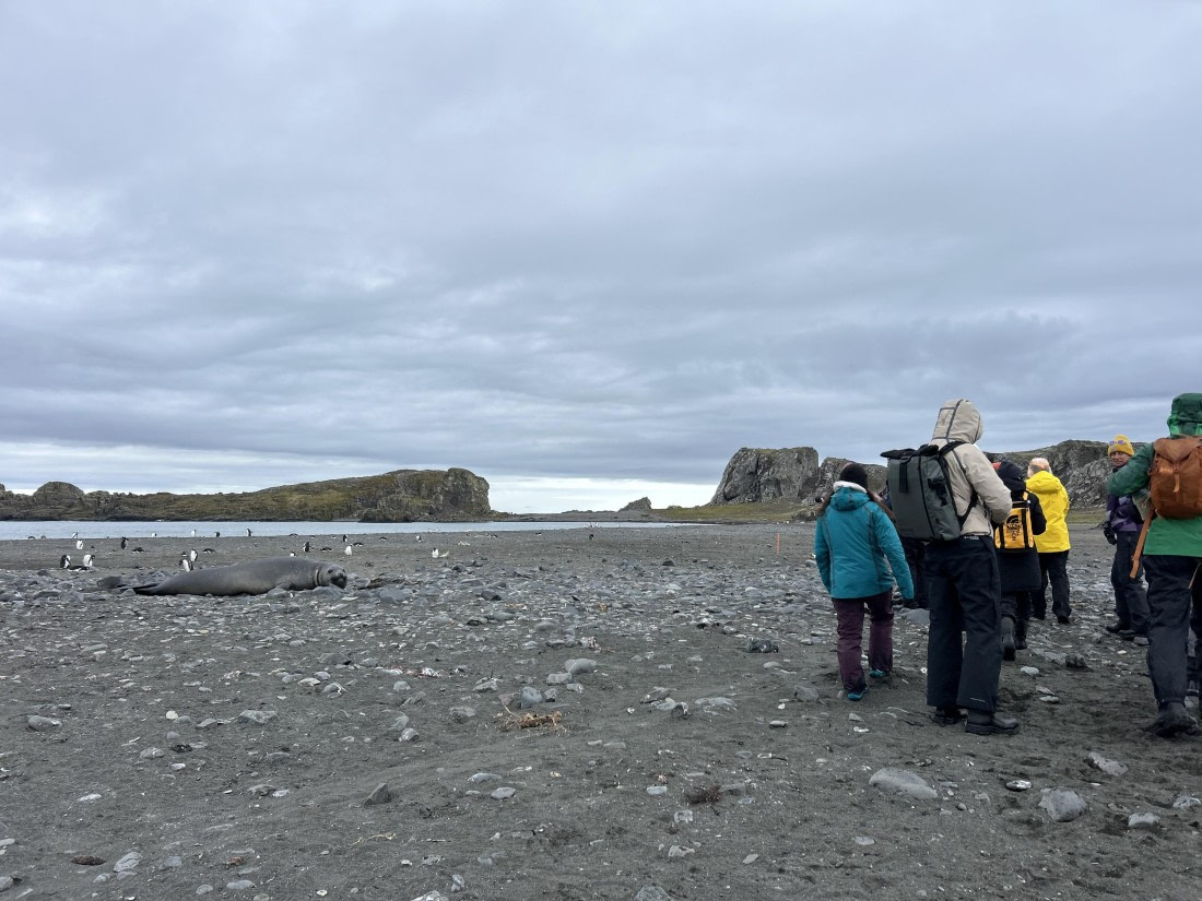 PLA25-26, Day 10, IMG_0424.jpeg © Katlyn Taylor- Oceanwide Expeditions.jpeg