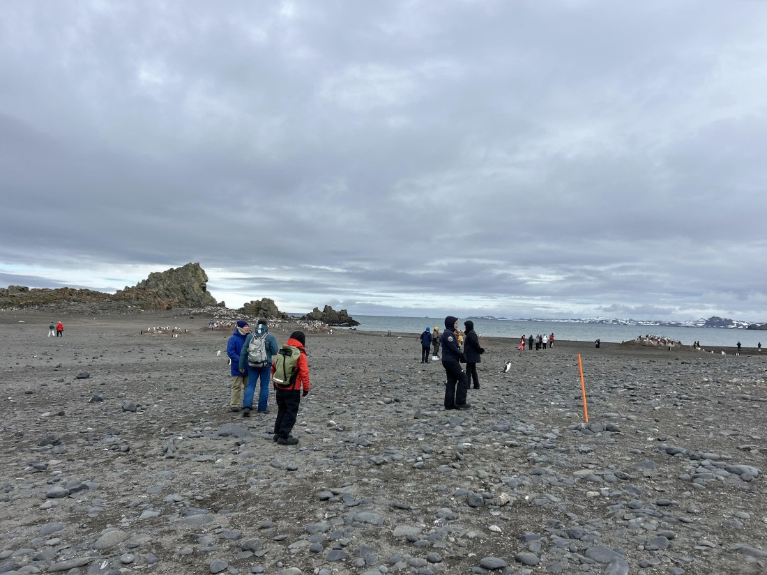 PLA25-26, Day 10, IMG_0428.jpeg © Katlyn Taylor- Oceanwide Expeditions.jpeg