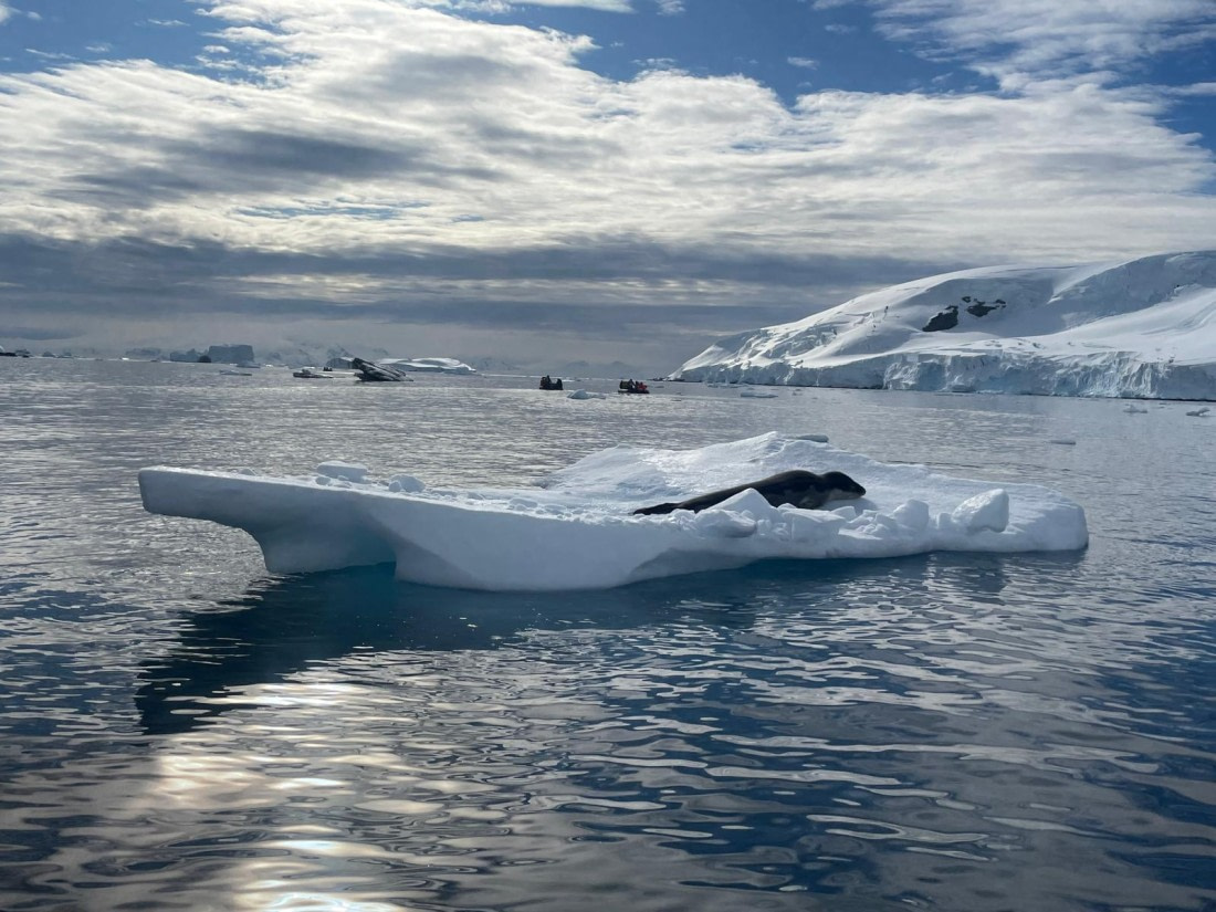 HDS25-26, Day 5, 69f05cee-a521-4cf6-be14-689a70f32b1f © Unknown photographer - Oceanwide Expeditions.jpg