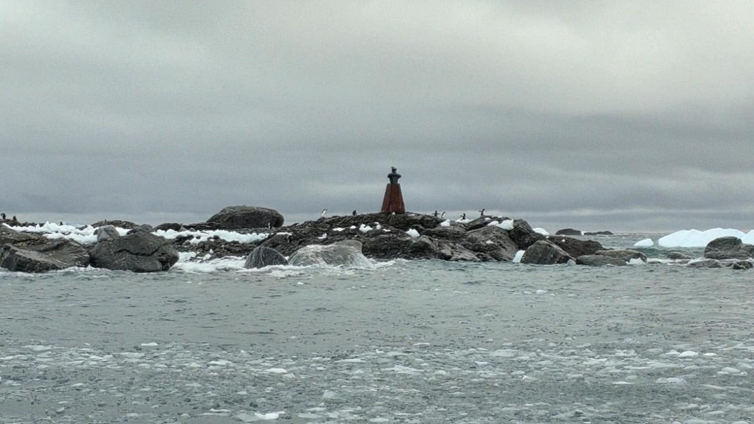 HDS25-26, Day 7, Point Wild © Unknown photographer - Oceanwide Expeditions.jpg