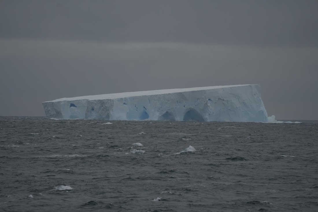 HDS25-26, Day 9, DSC06632 © Unknown photographer - Oceanwide Expeditions.JPG