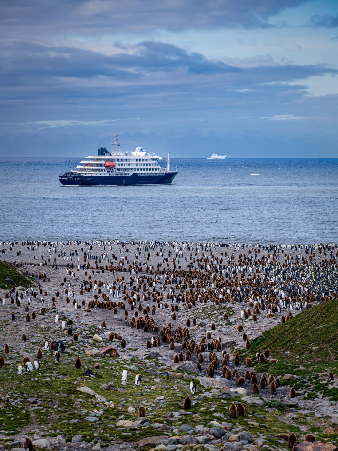 HDS25-26, Day 10, RLO_6922 © Alexander Romanovskiy - Oceanwide Expeditions.jpg