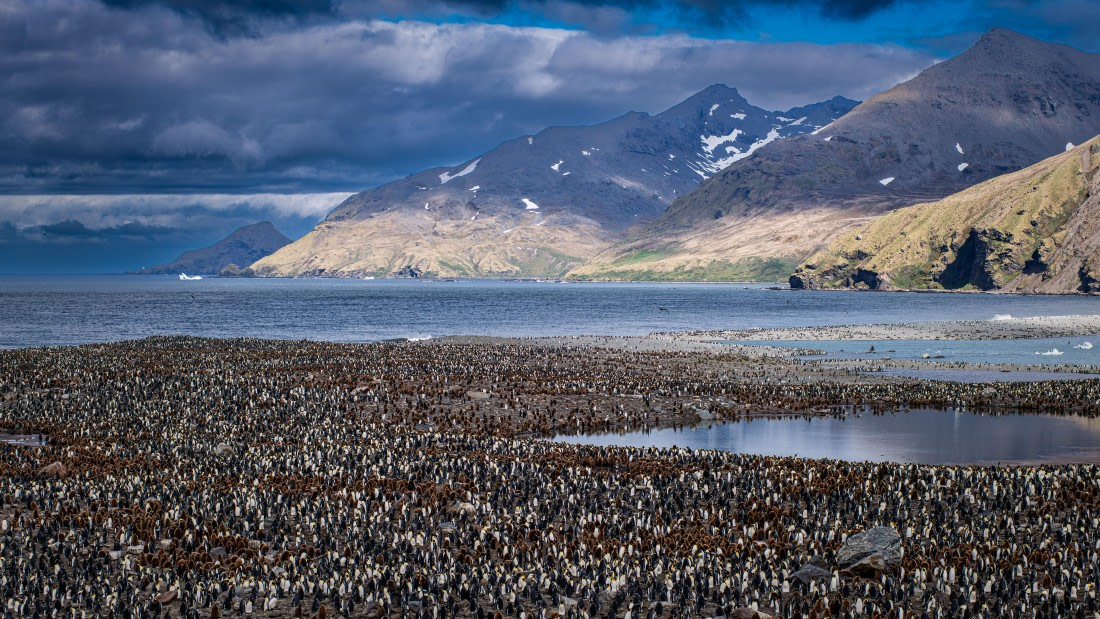 HDS25-26, Day 10, RLO_6925 © Alexander Romanovskiy - Oceanwide Expeditions.jpg