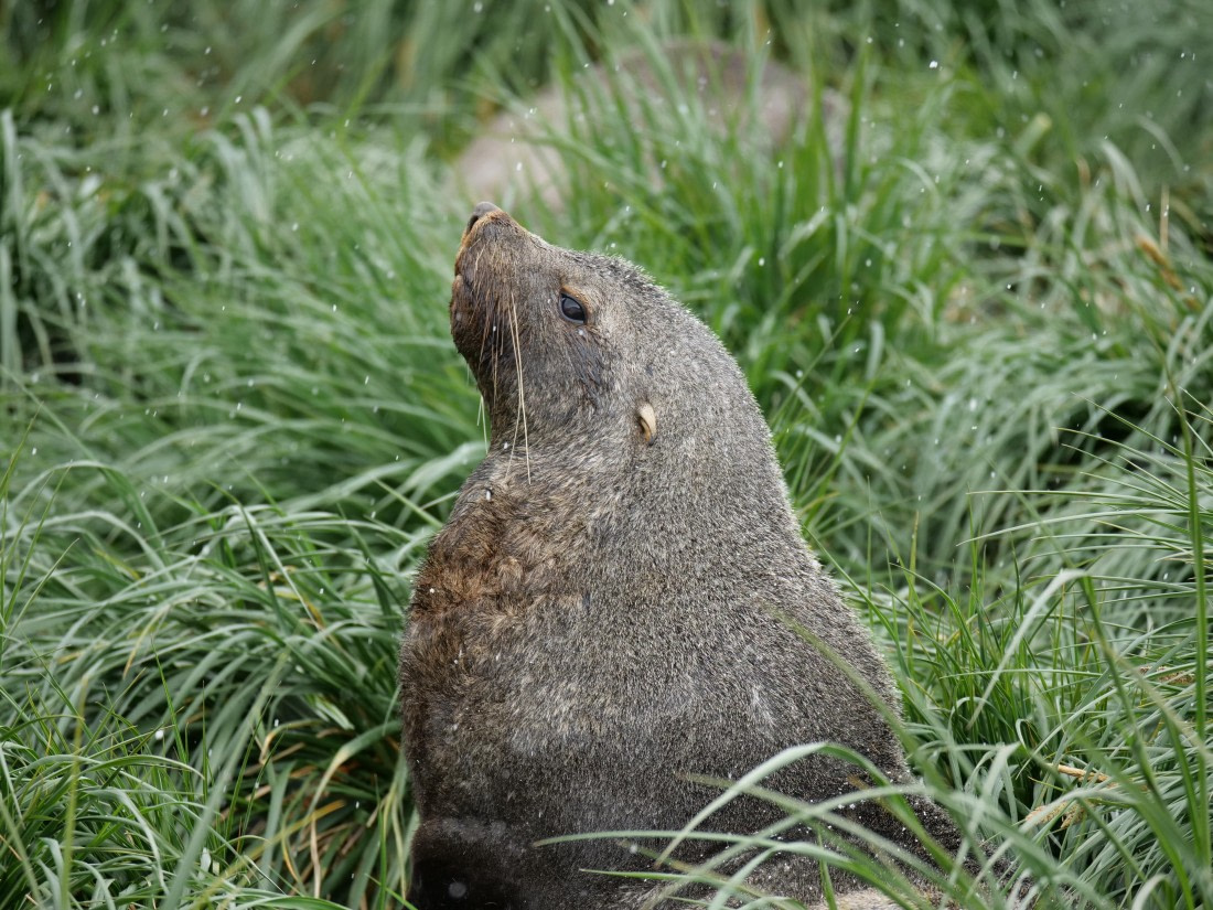 HDS25-26, Day 12, P1023176 © Unknown photographer - Oceanwide Expeditions.JPG