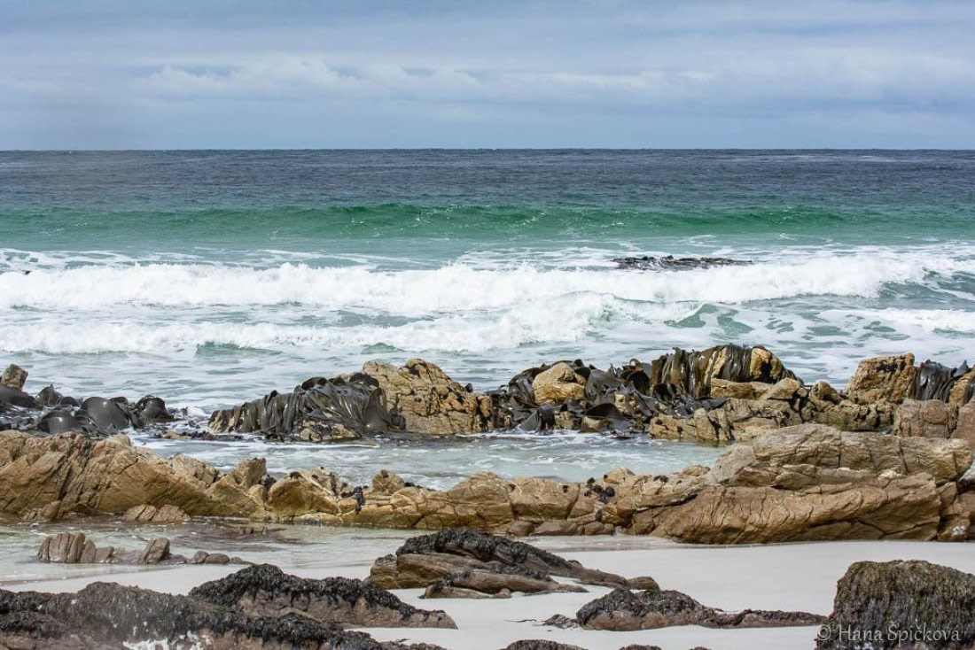 HDS25-26, Day 16, _DSC8799 © Hana Spickova - Oceanwide Expeditions.jpg