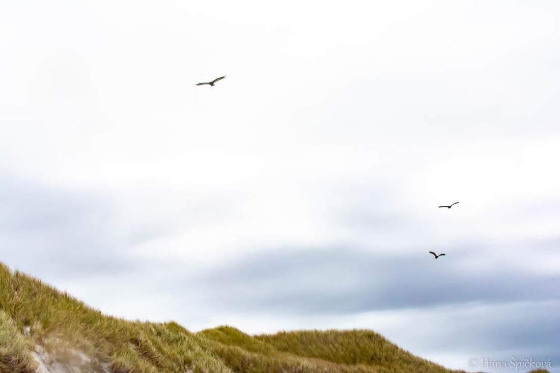 HDS25-26, Day 16, _DSC8815 © Hana Spickova - Oceanwide Expeditions.jpg