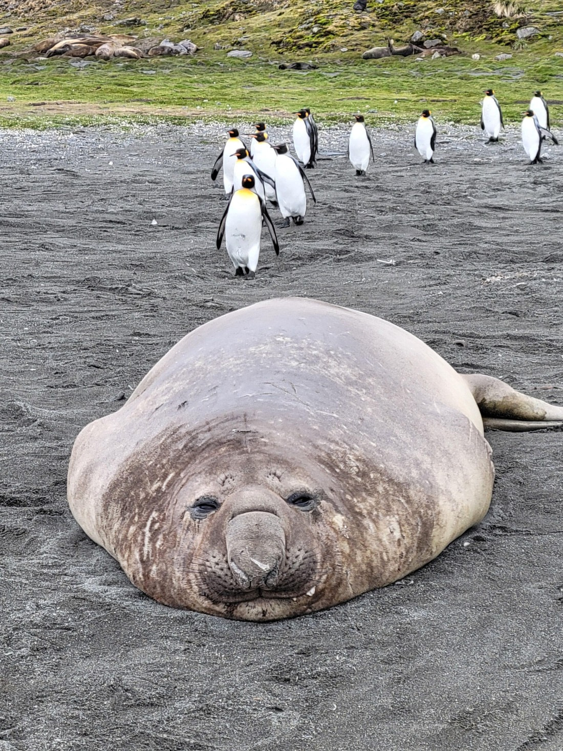 Just don't want to do anything today at St. Andrew Bay