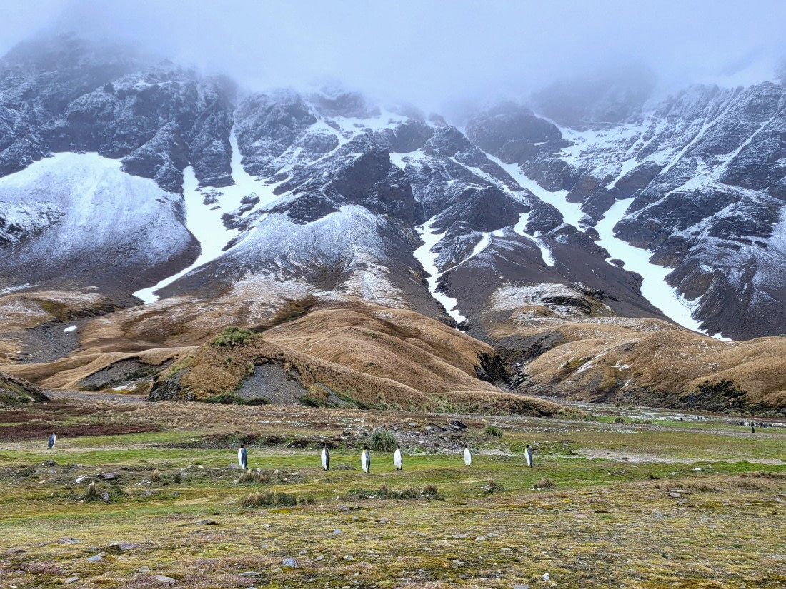 A breathtaking mountain view at Fortune Bay