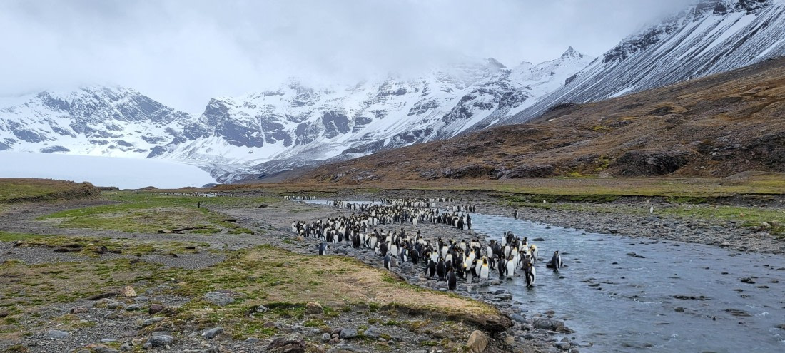 A spectacular landscape at St. Andrew Bay