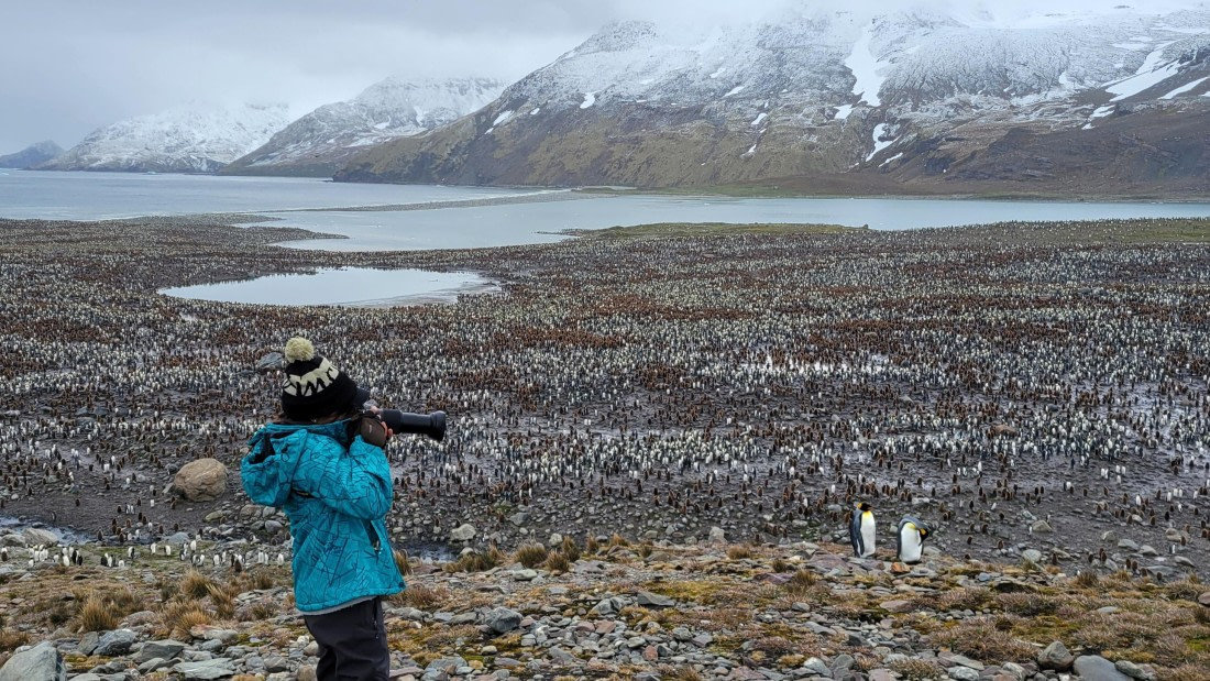 A master taking a masterpiece at St. Andrew Bay