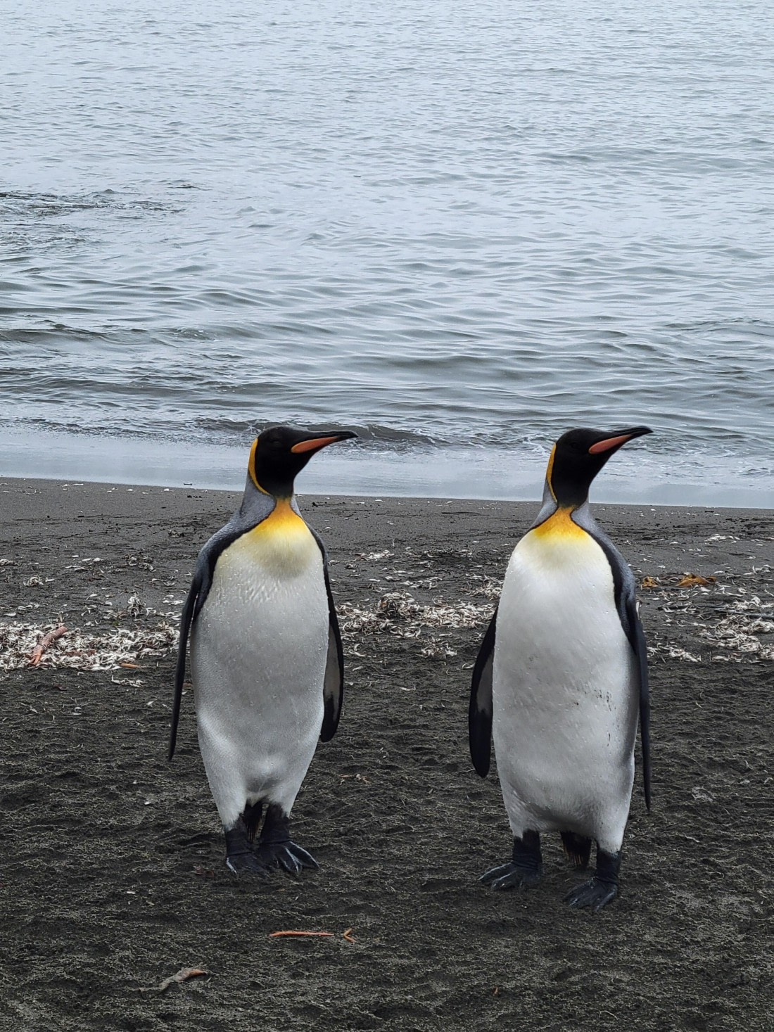 We are TWINS! at St. Andrew Bay