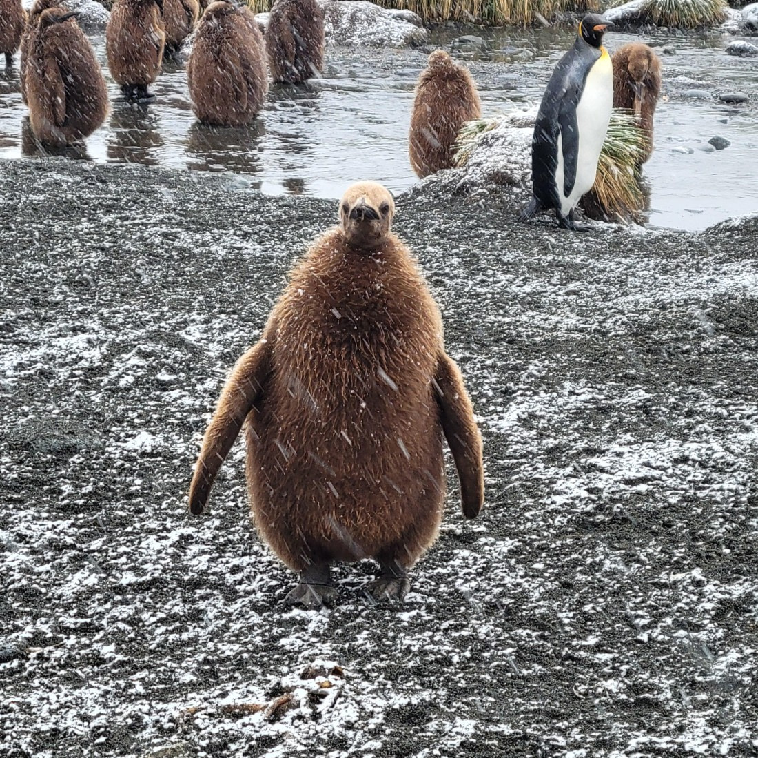 Does my body look like "Dettol"? at Gold Harbour