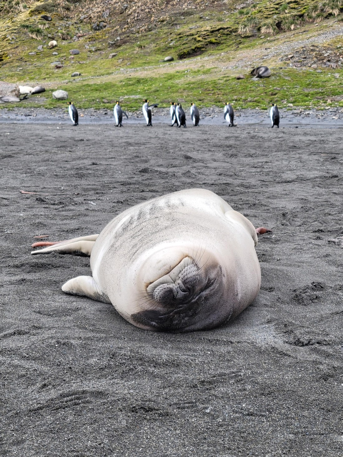 A Lazy Day at St. Andrew Bay