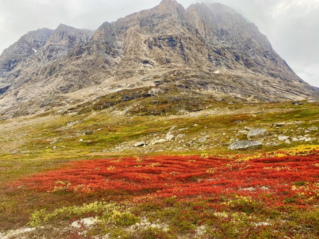 Red carpet in Greenland