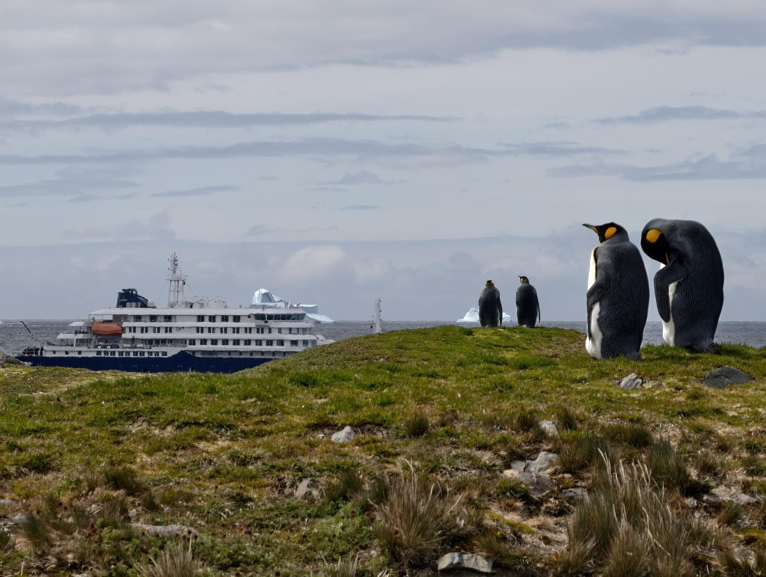 Honey, I plan a cruise with Hondius!