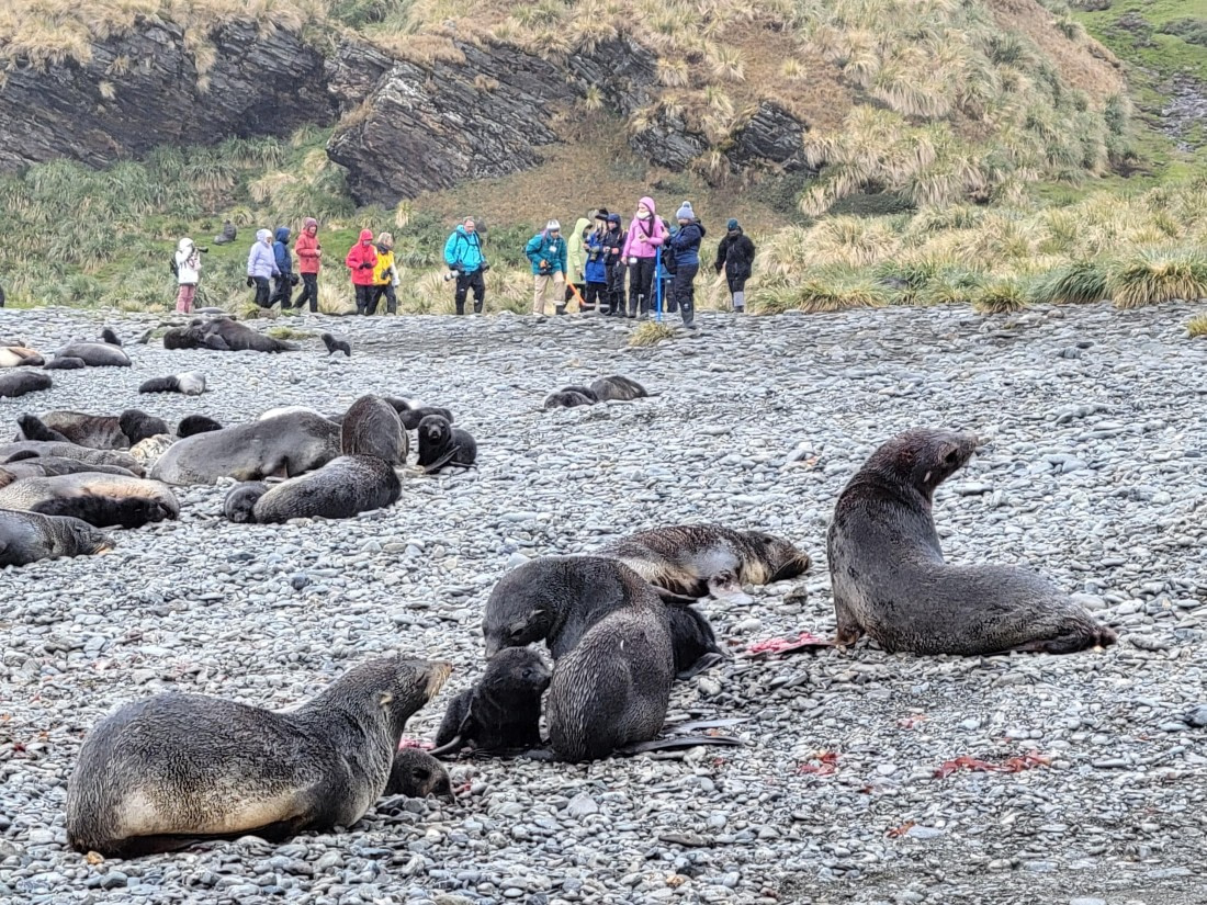 Seeing newborn baby with placenta @ Fortuna Bay