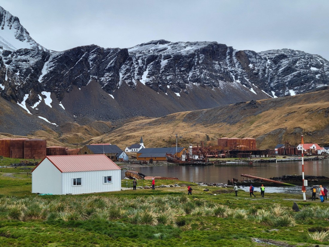We don't own the planet earth, we belong to it. Don't hurt any whales anymore! @Grytviken