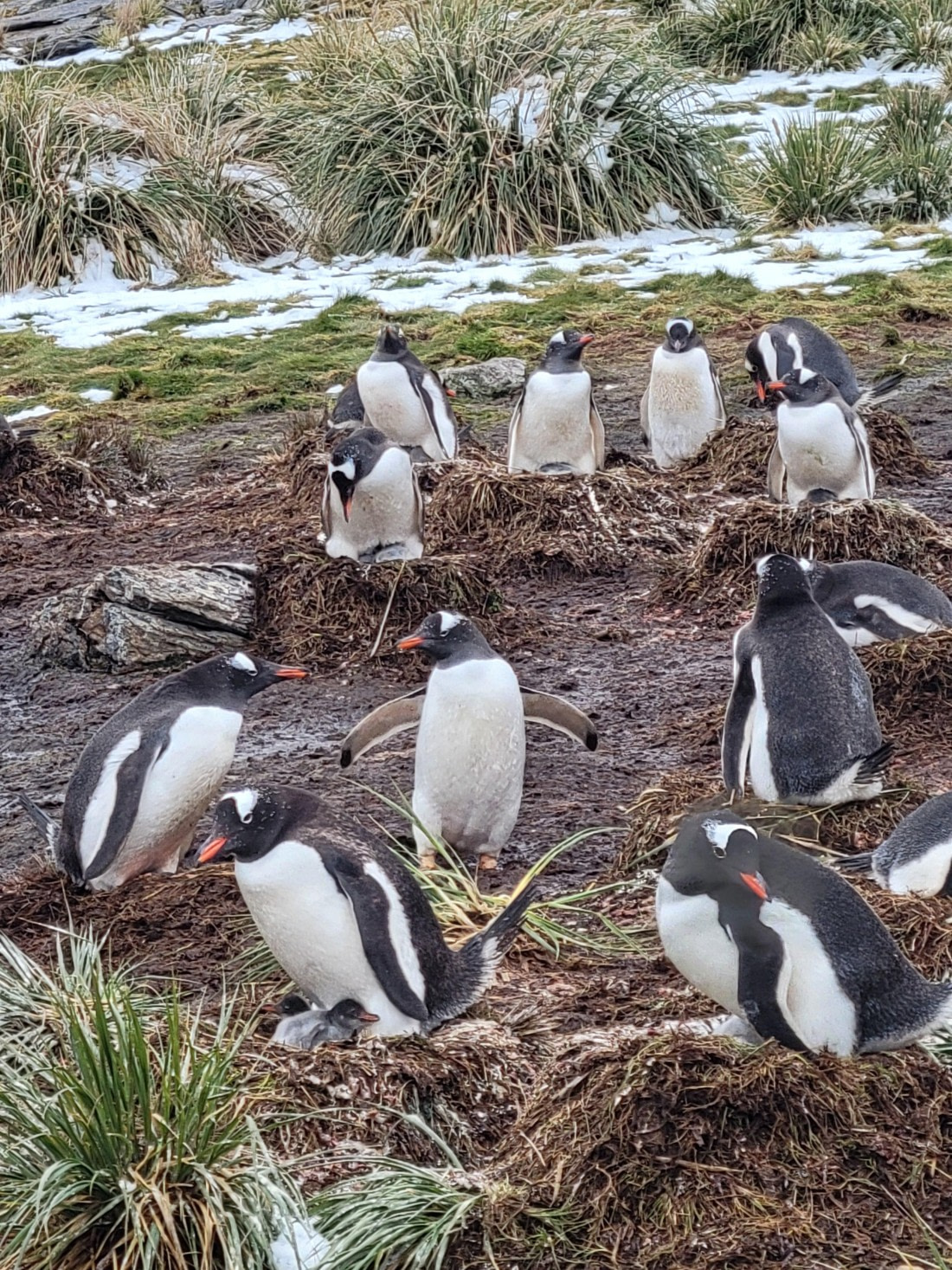 Overcrowded housing looms@ Godthul