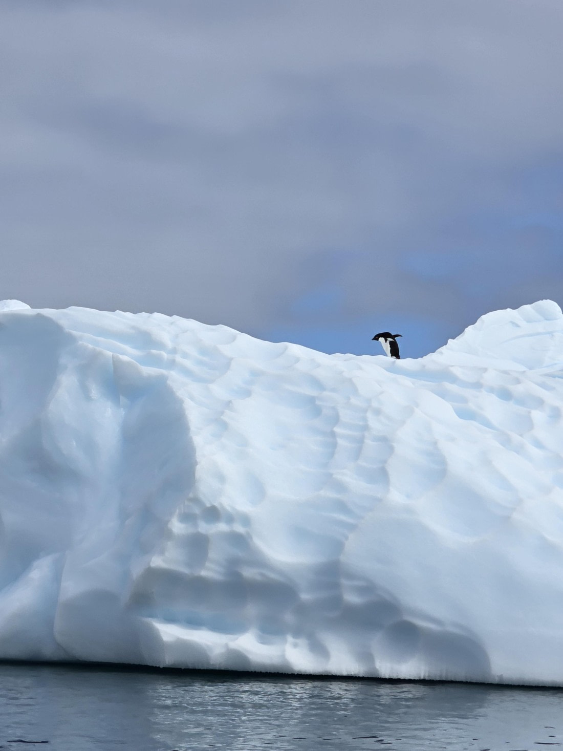 Penguin glacier