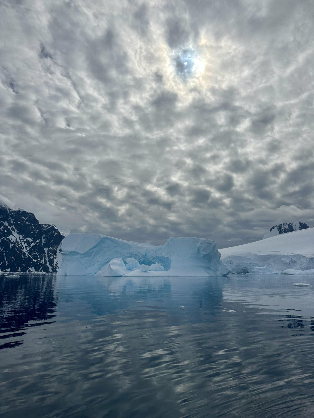 Iceberg in Lemaire Channel