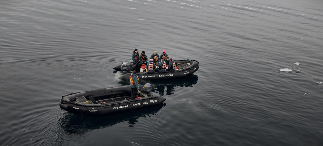 HDS26-26, Day 4, IMG_20260111_081159 © Unknown photographer - Oceanwide Expeditions.jpg