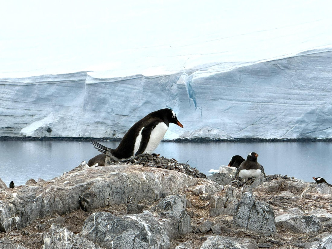 HDS26-26, Day 4, IMG_1686 (8) © Hana Spickova - Oceanwide Expeditions.jpg