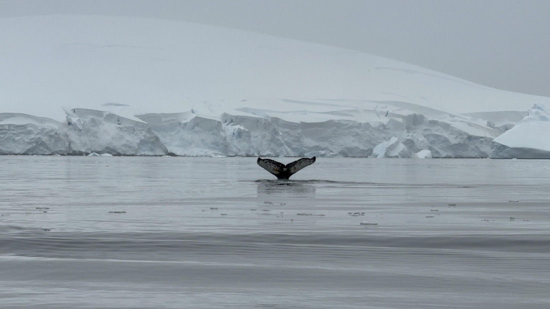 HDS26-26, Day 4, IMG_3456 © Jade Heister - Oceanwide Expeditions.jpg