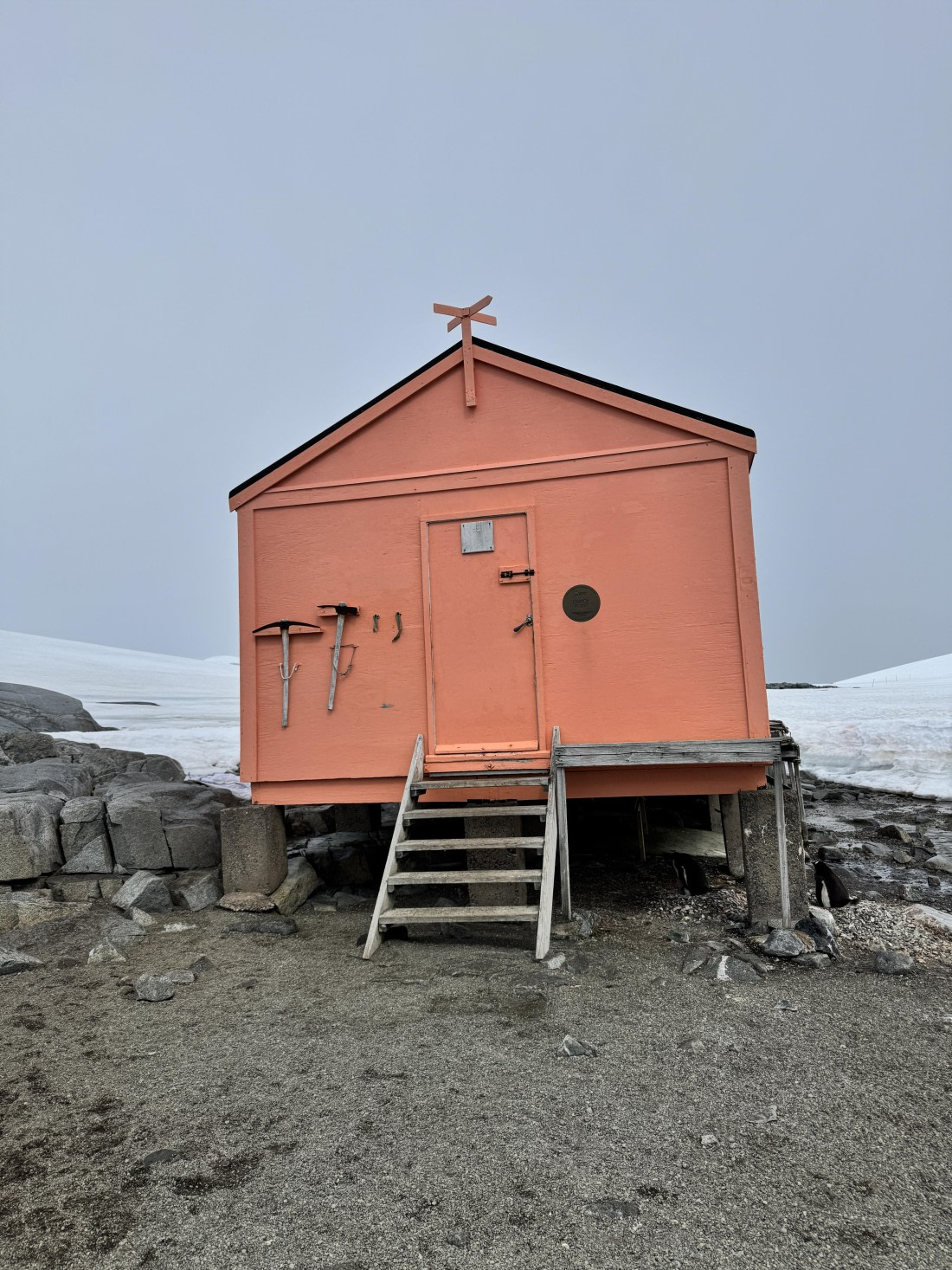 HDS26-26, Day 4, IMG_9934 © Unknown photographer - Oceanwide Expeditions.JPG