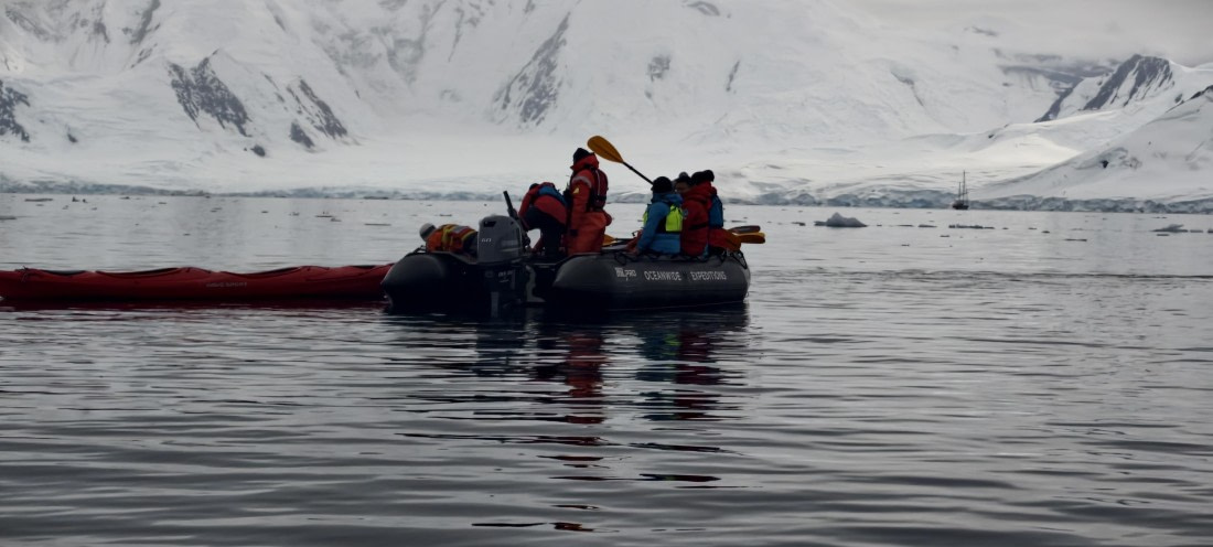 HDS26-26, Day 4, IMG_20260111_092842 © Unknown photographer - Oceanwide Expeditions.jpg