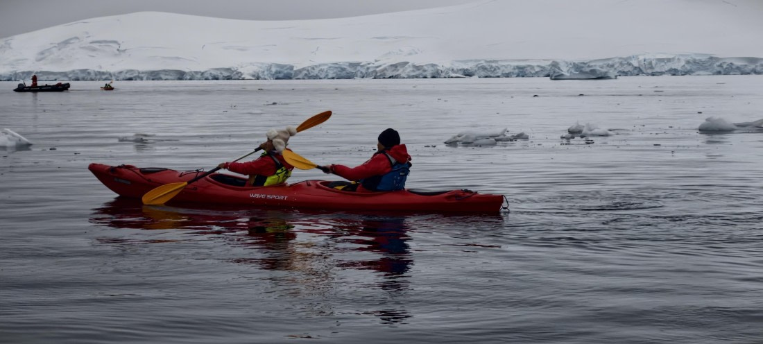 HDS26-26, Day 4, IMG_20260111_094029 © Unknown photographer - Oceanwide Expeditions.jpg