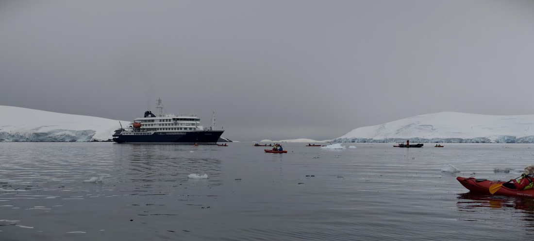 HDS26-26, Day 4, IMG_20260111_094033 © Unknown photographer - Oceanwide Expeditions.jpg
