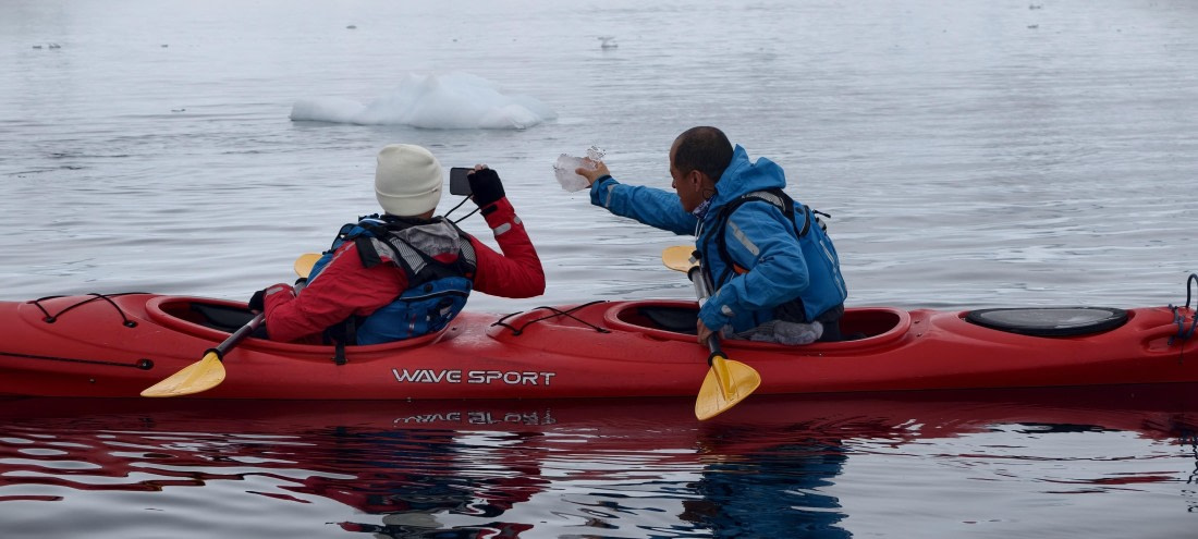 HDS26-26, Day 4, IMG_20260111_094331 © Unknown photographer - Oceanwide Expeditions.jpg