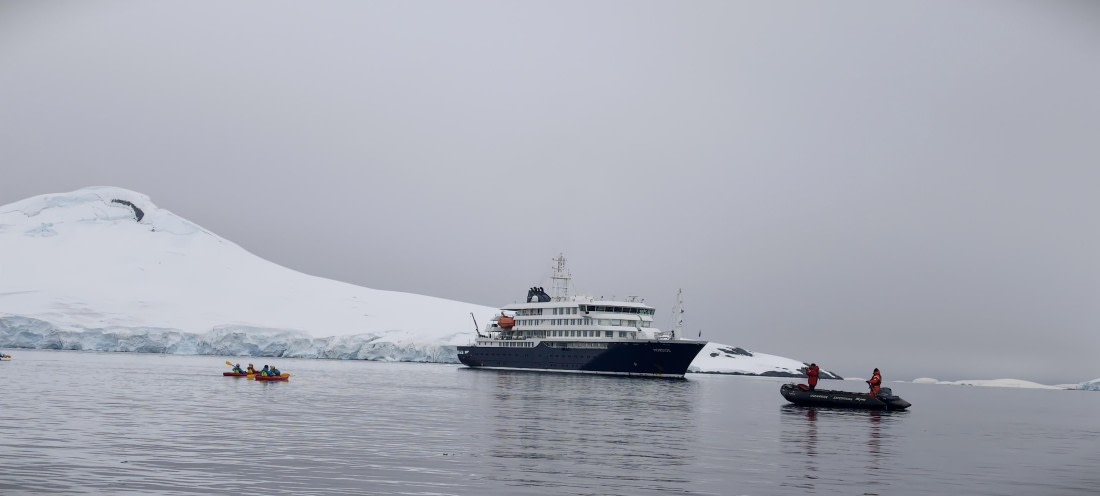 HDS26-26, Day 4, IMG_20260111_094340 © Unknown photographer - Oceanwide Expeditions.jpg