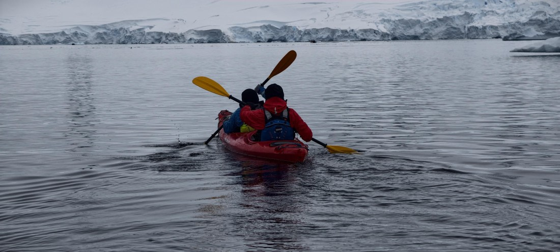 HDS26-26, Day 4, IMG_20260111_095237 © Unknown photographer - Oceanwide Expeditions.jpg
