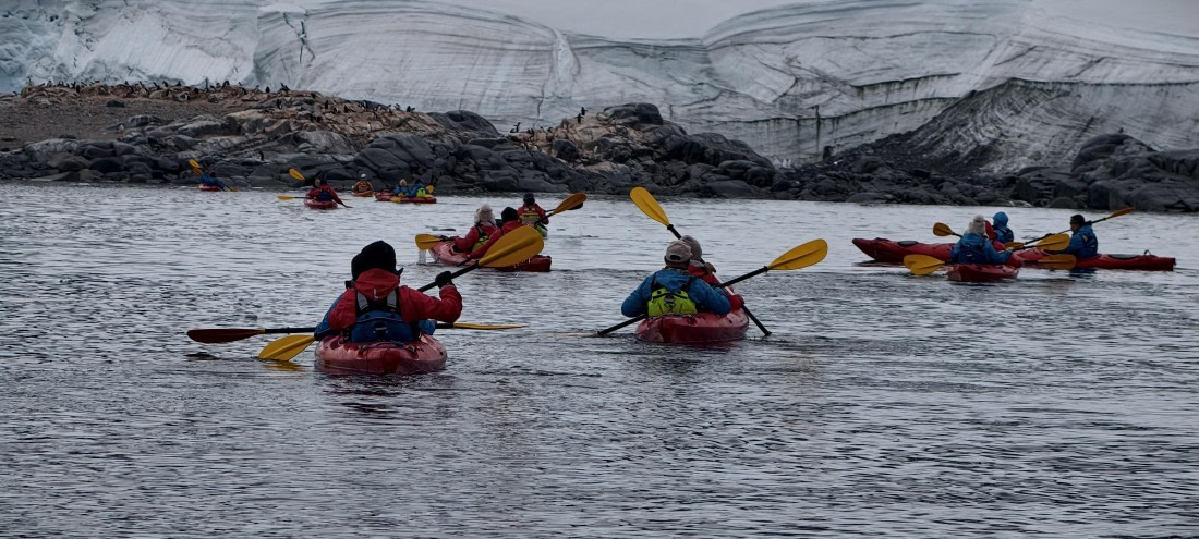 HDS26-26, Day 4, IMG_20260111_100002 © Unknown photographer - Oceanwide Expeditions.jpg