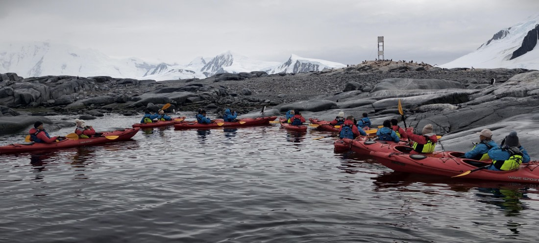 HDS26-26, Day 4, IMG_20260111_100652 © Unknown photographer - Oceanwide Expeditions.jpg