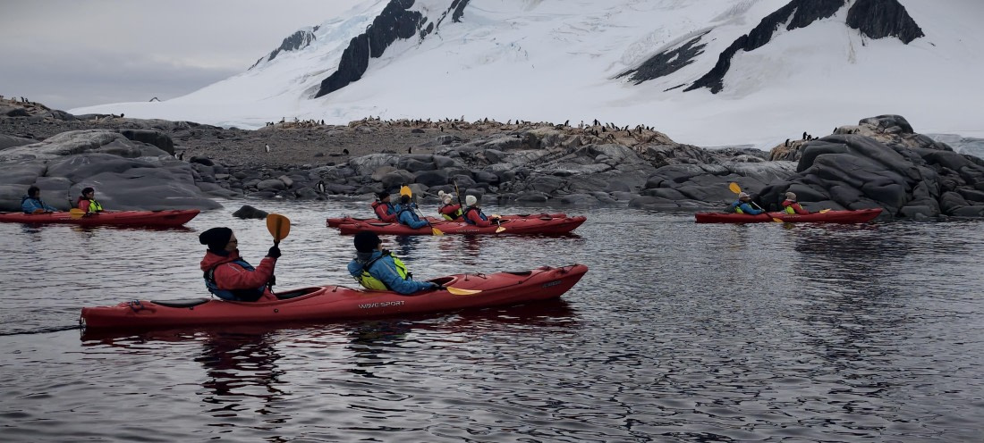 HDS26-26, Day 4, IMG_20260111_100952 © Unknown photographer - Oceanwide Expeditions.jpg